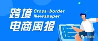 跨境周报丨德国站卖家销售电气和电子设备需遵守EPR义务；欧元对美元汇率逼近平价 创近20年新低