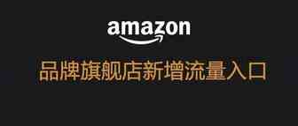 重视！亚马逊品牌旗舰店增加了大量流量入口！