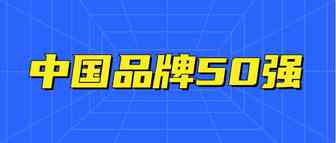 200万跨境奖项出炉！5家大卖入榜中国全球化品牌50强