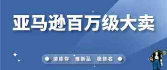 如何造就亚马逊百万级大卖？