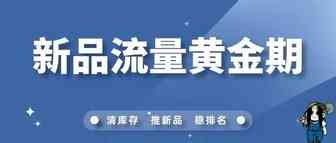 如何利用亚马逊新品流量黄金期最有效？