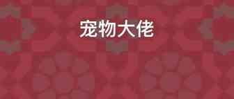 销量大得夸张！温州大卖一年售出近4000万套件宠物牵引带