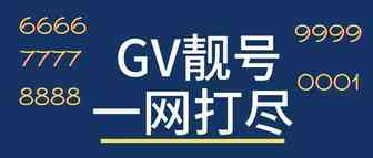 【新手0-1】如何获得一个GV靓号？