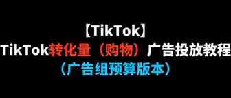 【TikTok】TikTok转化量（购物）广告投放教程（广告组预算版本）