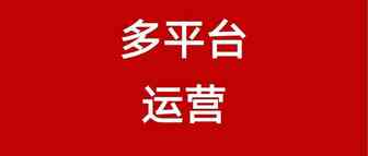 跨境电商卖家：多渠道运营真的是解决方案吗？
