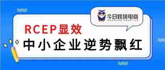 RCEP效用尽显，中小企业外贸逆势飘红