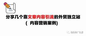 分享几个文章引流的外贸独立站案例