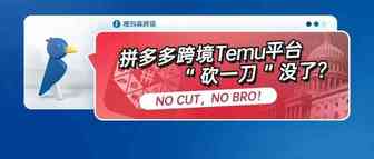 拼多多跨境Temu平台“砍一刀”没了？NO CUT，NO BRO！