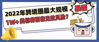 2022年跨境圈最大规模暴雷，1W+件美标将面临无效风险？