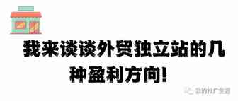 我来谈谈外贸独立站的几种盈利方向！