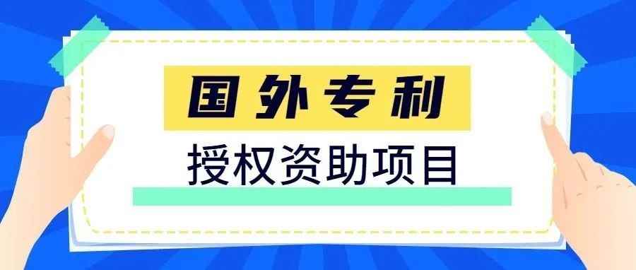 国外发明专利授权资助项目