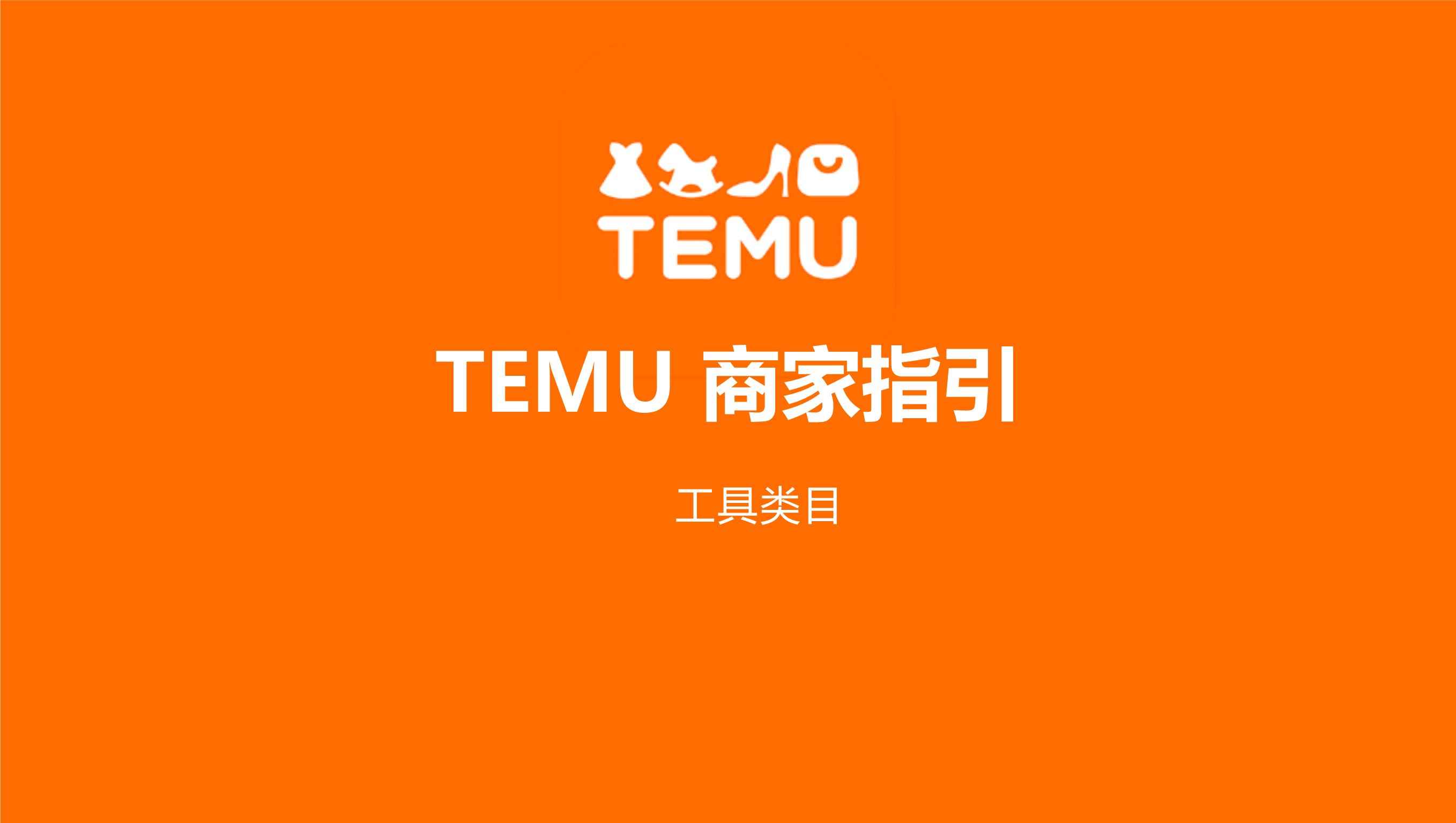 TEMU 美妆工具仪器商家指导书