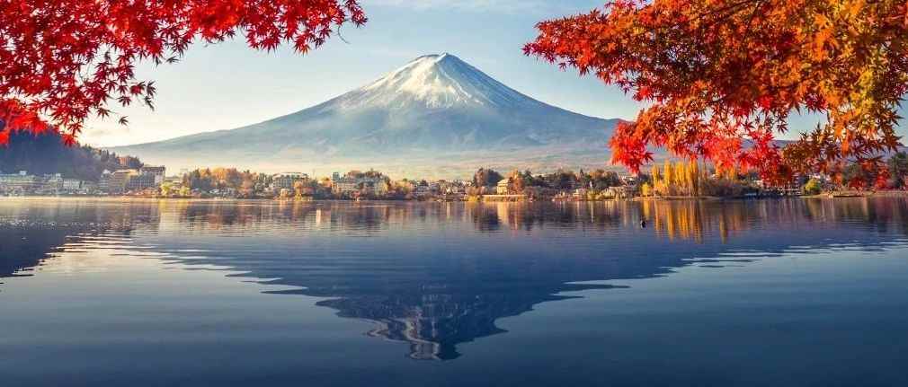 日本降税后该如何开发？带你去看最真实的日本市场！