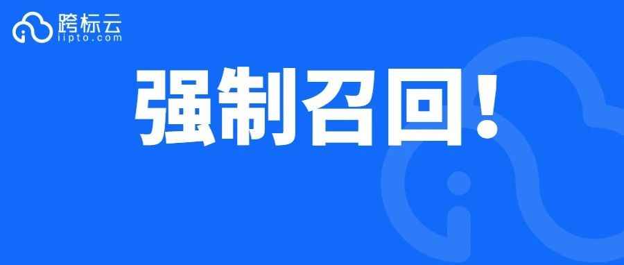 20天强制召回69000余件！做这个热门品类的卖家注意了！