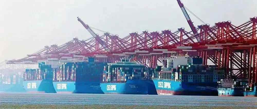 春节后运价续跌！欧洲线跌破1000美元大关！？运力过剩、抢货杀价...