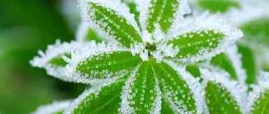 如何判断确定版权侵权的具体原因？