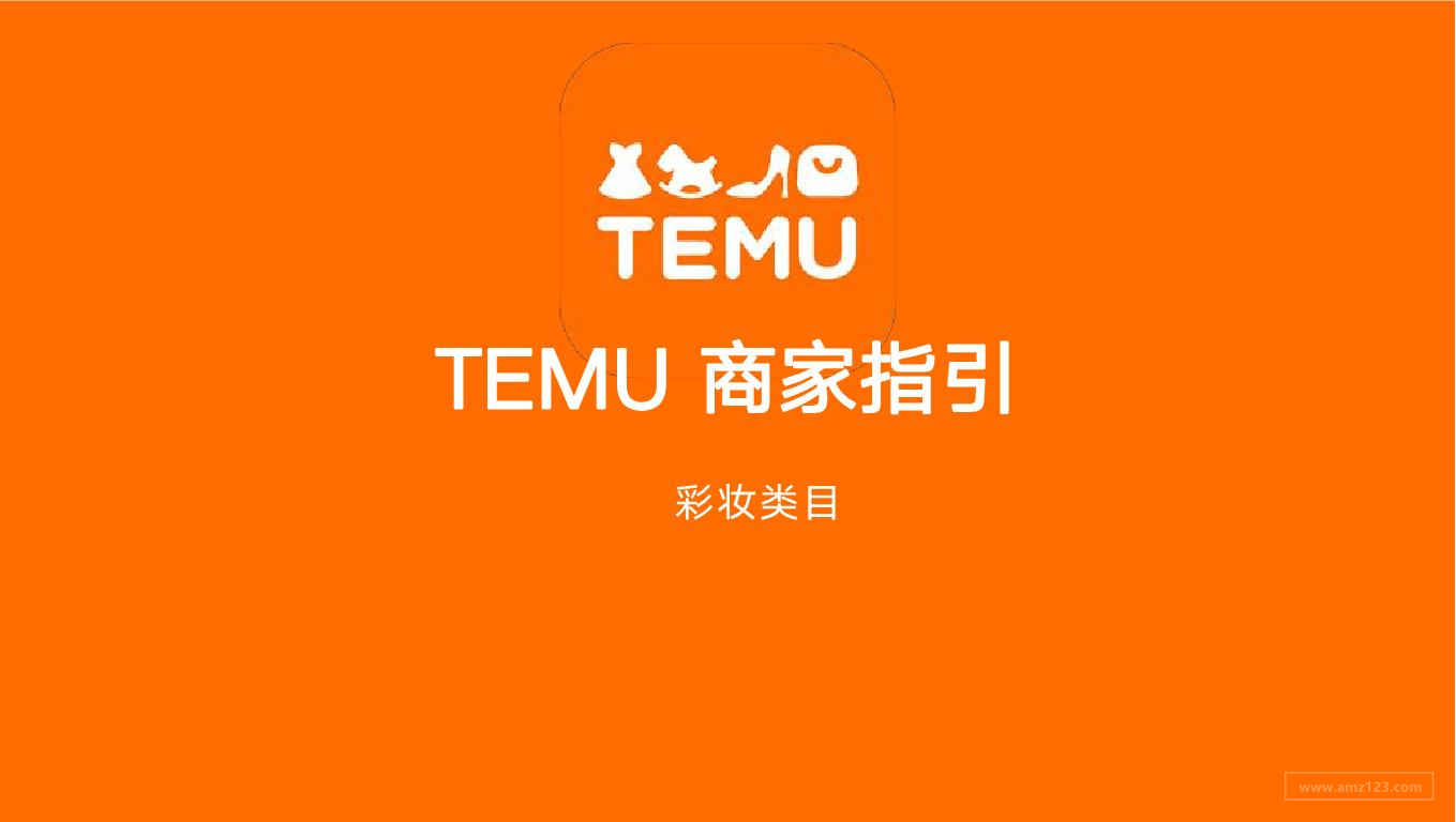 TEMU 美妆类目商家指导书