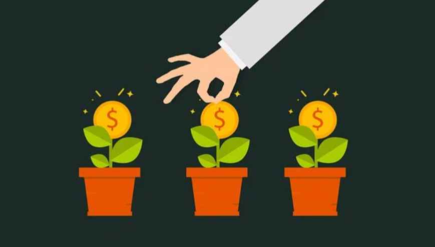 中国商标的注册程序是什么？可以分为几个步骤？