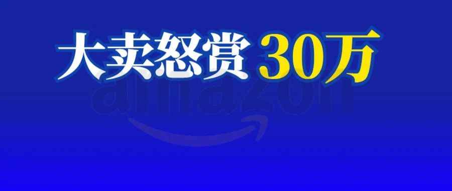 亚马逊卖家还能承受住吗？恶意攻击摧毁大卖!
