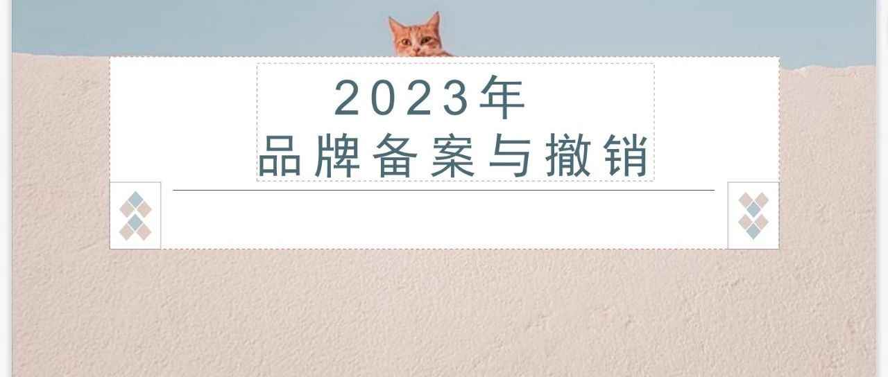 实操：不要找服务商，最新的2023年品牌备案与撤销流程