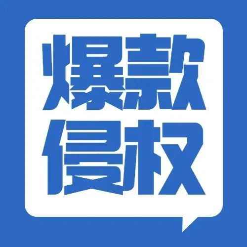 圣诞爆款《THE ELF ON THE SHELF书架上的精灵》发案维权！