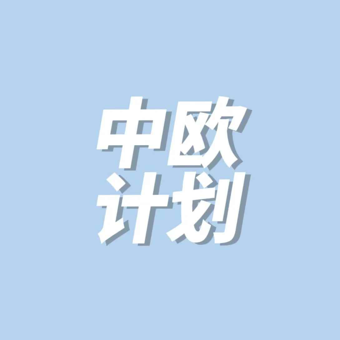 加入中欧计划每件货物最高可省0.35欧元！